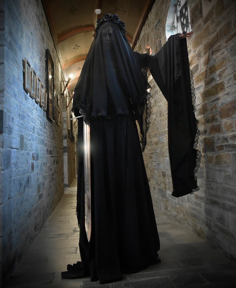 Spookerveil - lace trimmed mesh witchy veil by Moonmaiden Gothic Clothing