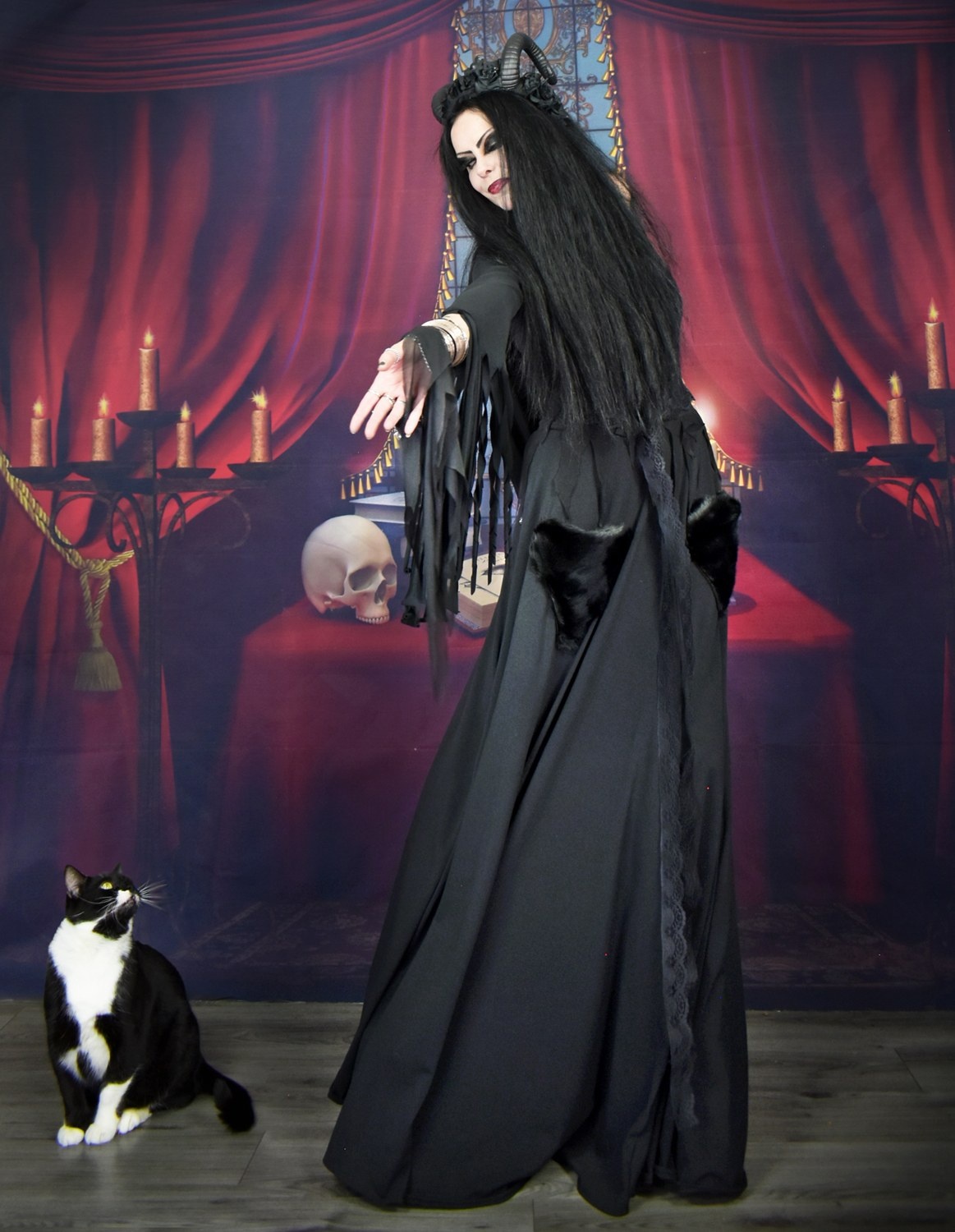 Queen Beruthiel Gown; the first gothic dress designed specifically for cat owners!!! :D